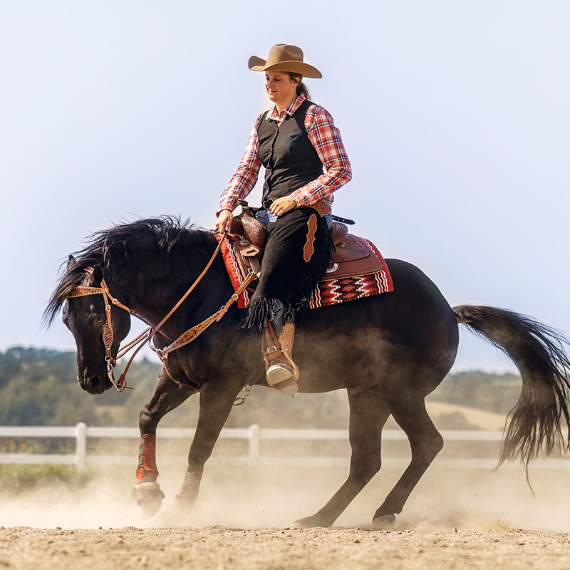 Salone del Cavallo Cremona