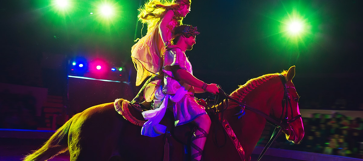 Salone del Cavallo Cremona